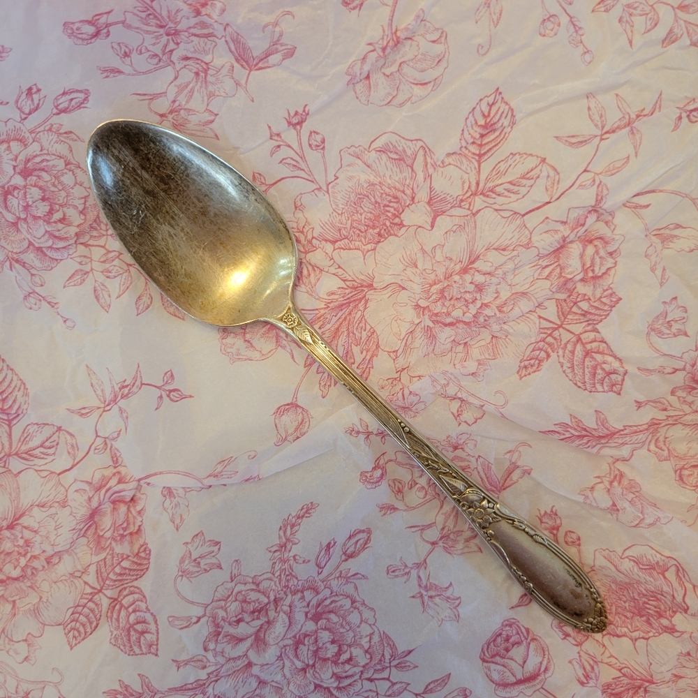 Vintage Sterling Oneida Virginian Teaspoon ~ Floral Pattern ~ 1940s+ - Picture 2 of 16